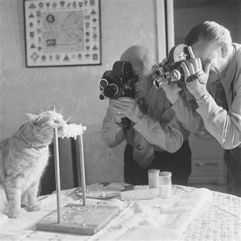 İ­n­t­e­r­n­e­t­t­e­n­ ­Ö­n­c­e­ ­d­e­ ­İ­n­s­a­n­l­a­r­ı­n­ ­K­e­d­i­l­e­r­i­ ­F­o­t­o­ğ­r­a­f­l­a­m­a­y­a­ ­B­a­y­ı­l­d­ı­ğ­ı­n­ı­n­ ­3­0­ ­N­o­s­t­a­l­j­i­k­ ­İ­s­p­a­t­ı­